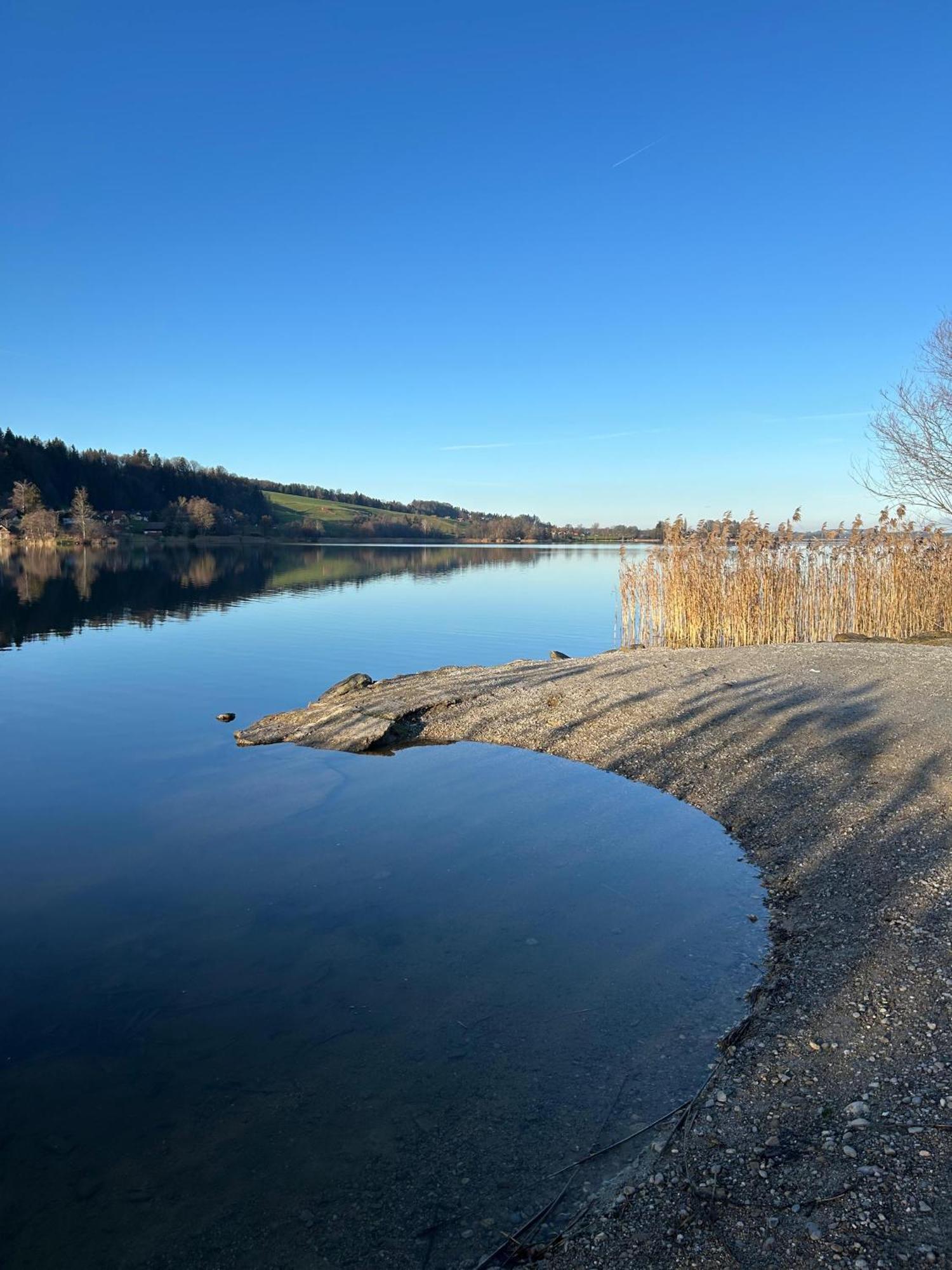 Ferienwohnungen Am See Obertrum am See Exterior foto